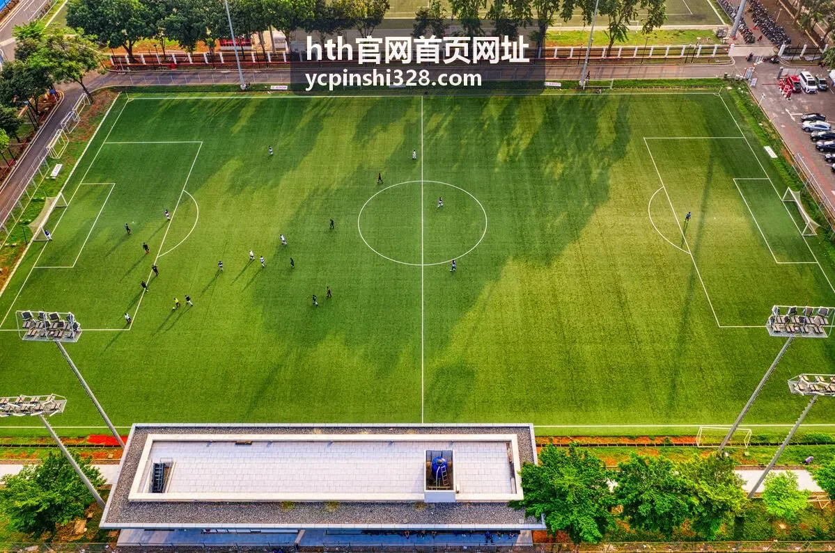 hth官网首页网址在门店运营查询中的使用场景